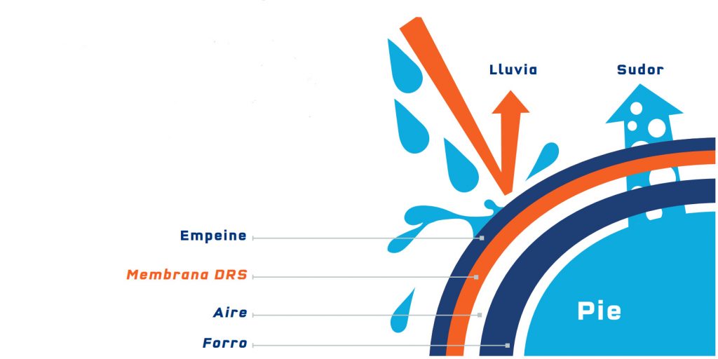 información artic line